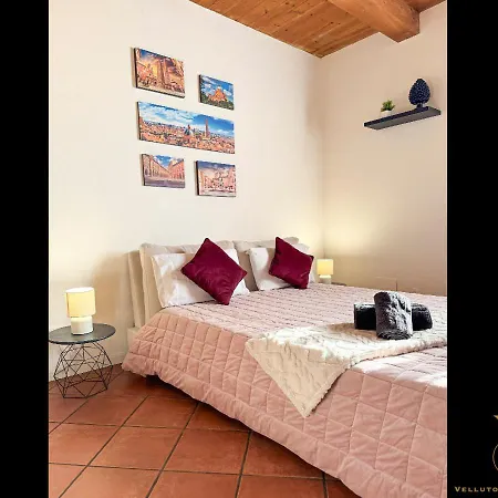 Velluto Daire Calderara di Reno